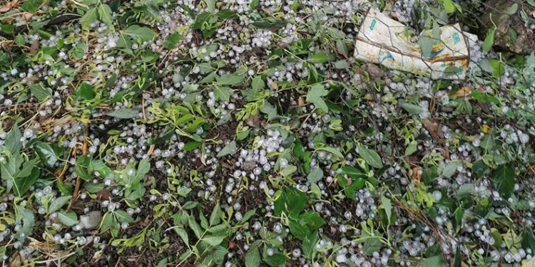 Kastamonu’da dolu yağışı zarara neden oldu