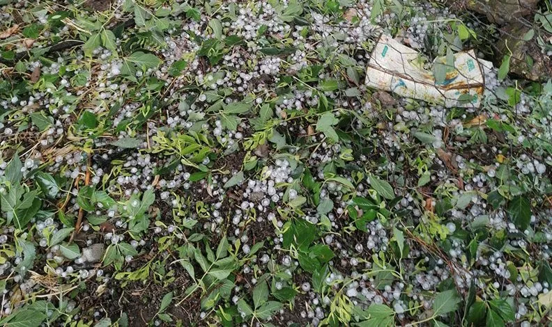 Kastamonu’da dolu yağışı zarara neden oldu