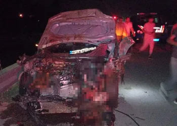 Van’da otomobil sürüye çarptı: 26 hayvan telef oldu