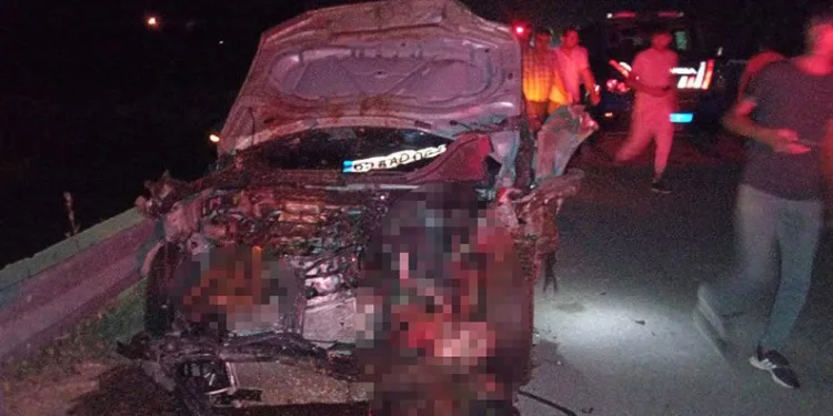 Van’da otomobil sürüye çarptı: 26 hayvan telef oldu