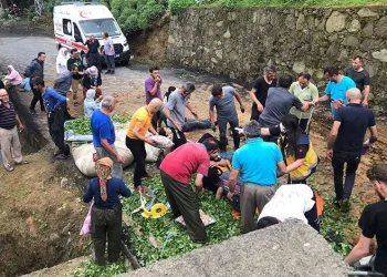Tur minibüsü devrildi: 25 yaralı