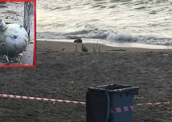 Rus yapımı mayın tetikleyicisi Türkiye’de sahile vurdu