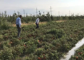 CHP’li Orhan Sarıbal: Bor madeni tarımı yok ediyor