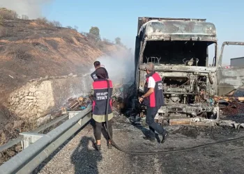 20 ton fındık küle döndü