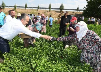 Başkan Aktaş’tan hasat yapan çiftçilere ziyaret
