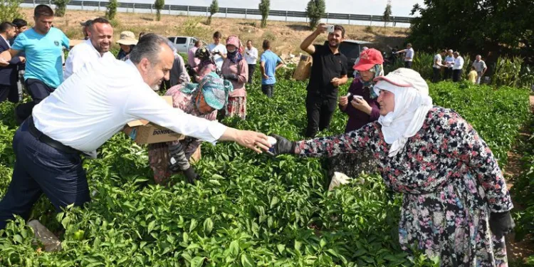 Başkan Aktaş’tan hasat yapan çiftçilere ziyaret