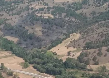 Bursa’da meşelik alandaki yangın büyümeden söndürüldü