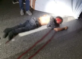 TEM’de kamyonun çarptığı şahıs öldü