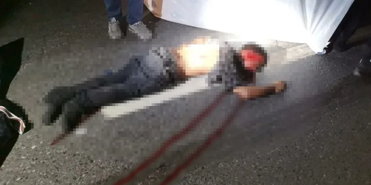 TEM’de kamyonun çarptığı şahıs öldü