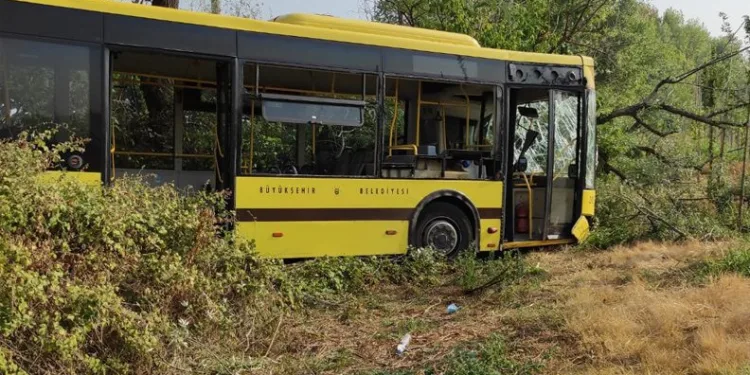 Bursa’da belediye otobüsü tarlaya uçtu: Yaralılar var