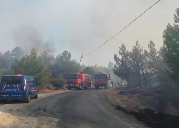 Manisa Kula’daki orman yangını kontrol altında