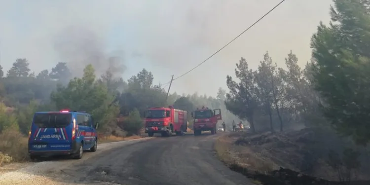 Manisa Kula’daki orman yangını kontrol altında