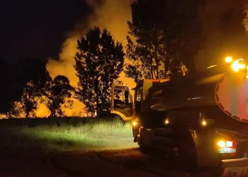 Bursa İznik Gölü sahilinde sazlık alanda yangın