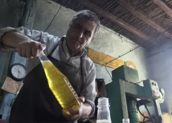 Ayçiçeği yağını asırlık imalathanede üretiyor