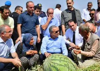 Diyarbakır’da 121 ton karpuz hasadı başladı