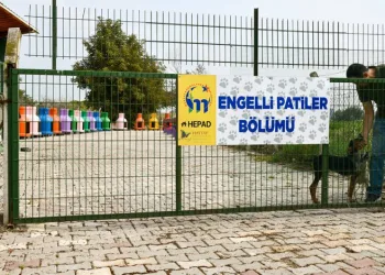 Mustafakemalpaşa’da ‘Engelli Hayvan Birimi’ açıldı