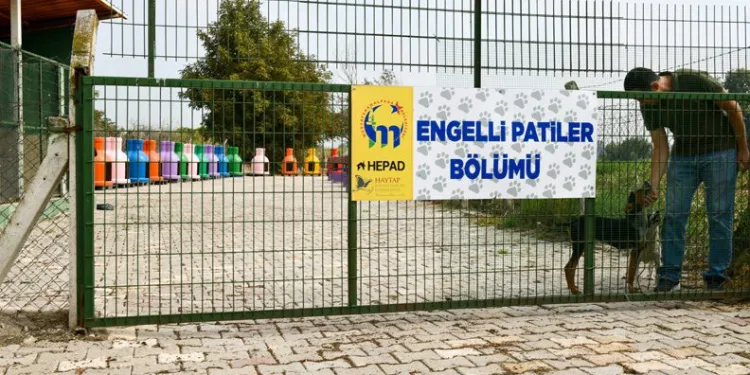 Mustafakemalpaşa’da ‘Engelli Hayvan Birimi’ açıldı