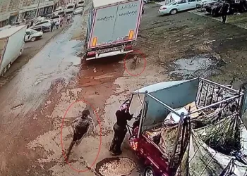 Tekirdağ’da köpekten kaçan çocuğa araba çarptı
