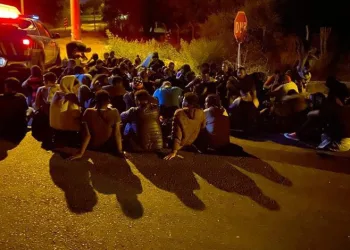 İzmir’de 10 günde 446 göçmen yakalandı