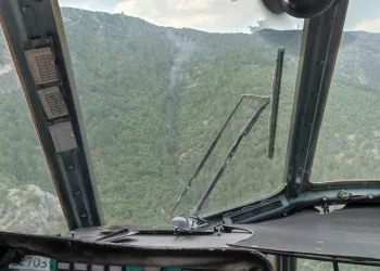 Bursa’da ormanlık alanda çıkan yangın söndürüldü
