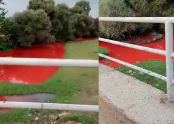 Derenin rengi kırmızıya büründü