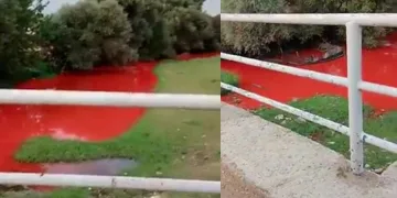 Derenin rengi kırmızıya büründü