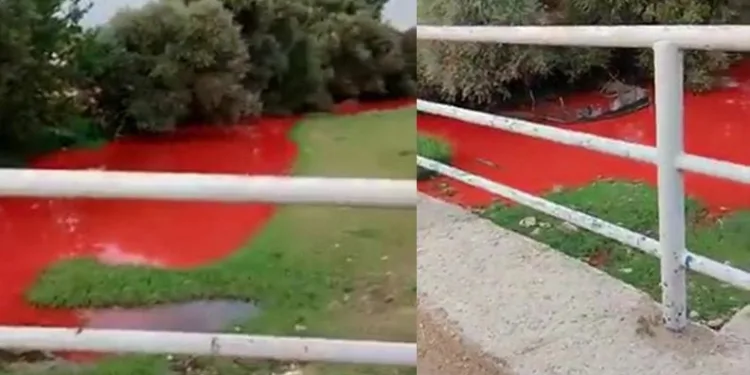Derenin rengi kırmızıya büründü