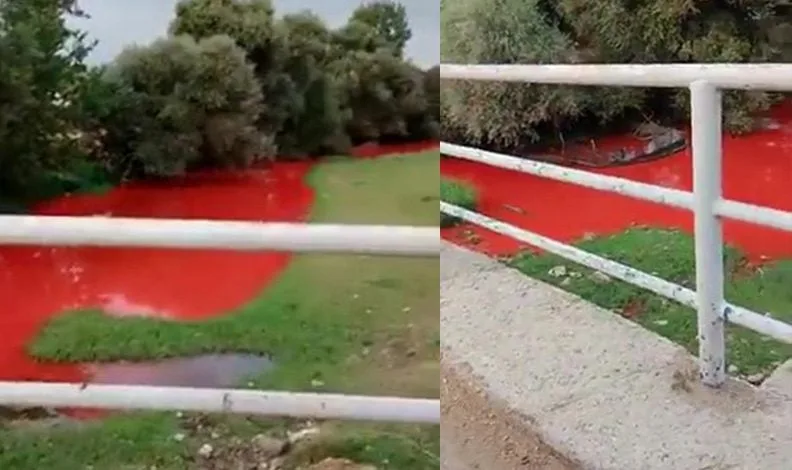 Derenin rengi kırmızıya büründü