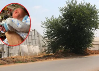 Ağaç altında terk edilmiş bebek bulundu