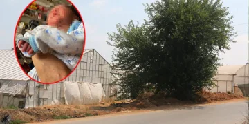 Ağaç altında terk edilmiş bebek bulundu