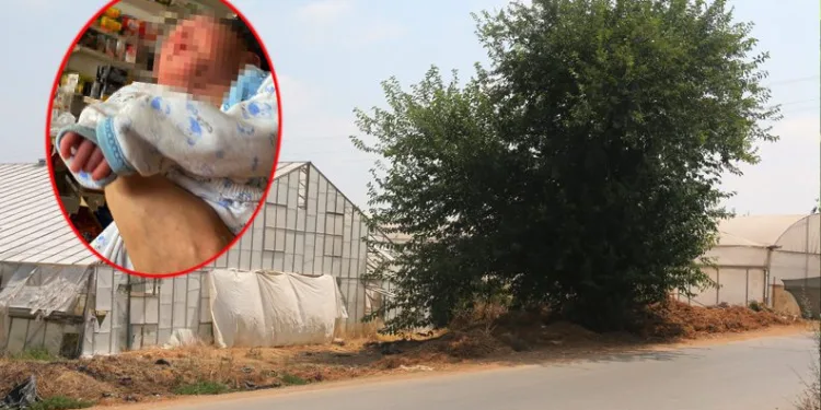 Ağaç altında terk edilmiş bebek bulundu