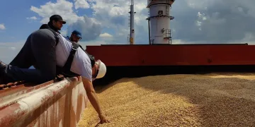 Tahıl gemisi İstanbul’da denetlendi