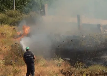 Bitlis’te tarihi mezarlıkta yangın