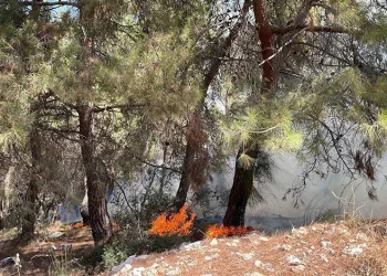 Manisa’daki yangınlar kontrol altında