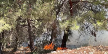 Manisa’daki yangınlar kontrol altında