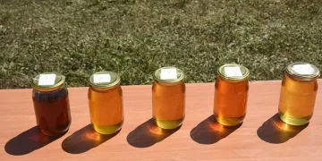 1 kilo bal 17 bin liraya satıldı