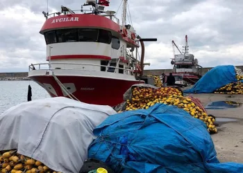 Hasretle beklenen av sezonu açılıyor