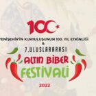Yenişehir'de festival ve kurtuluş coşkusu