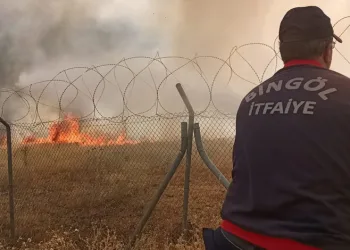 Bingöl’de otluk alanda yangın
