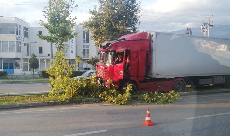 Bursa'da ağaçlar faciayı önledi
