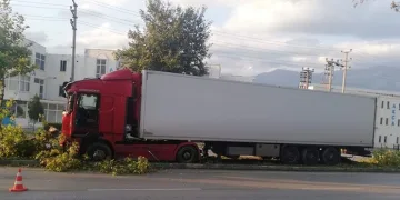 Bursa’da ağaçlar faciayı önledi