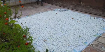 Mudurnu’da kozacılık kadınlarla hayat buldu