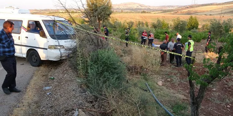 Damat cinayetinde iğrenç iddia
