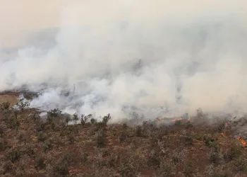 Hawaii’de çalılık alanda yangın: 9 bin 800 hektar alan kül oldu