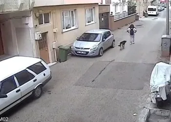 Bursa’da başıboş sokak köpeği kız çocuğuna saldırdı