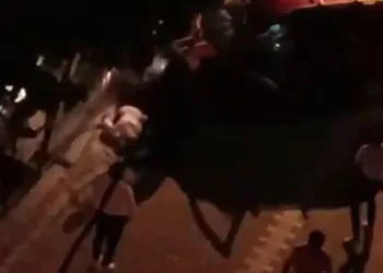 Acemi sürücü dehşet saçtı