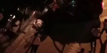 Acemi sürücü dehşet saçtı