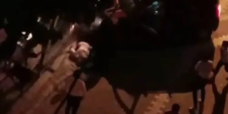 Acemi sürücü dehşet saçtı