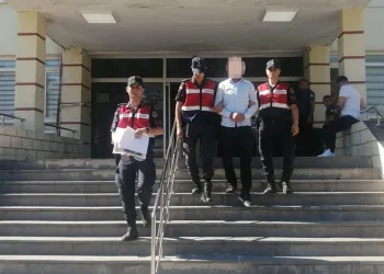 Adana’da orman yangını çıkartan şüpheli tutuklandı
