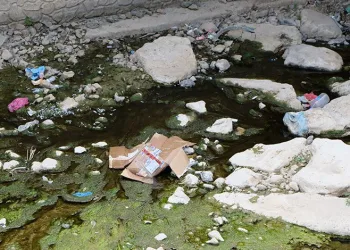 Gümüşhane’nin Harşit Çayı çöplüğe döndü